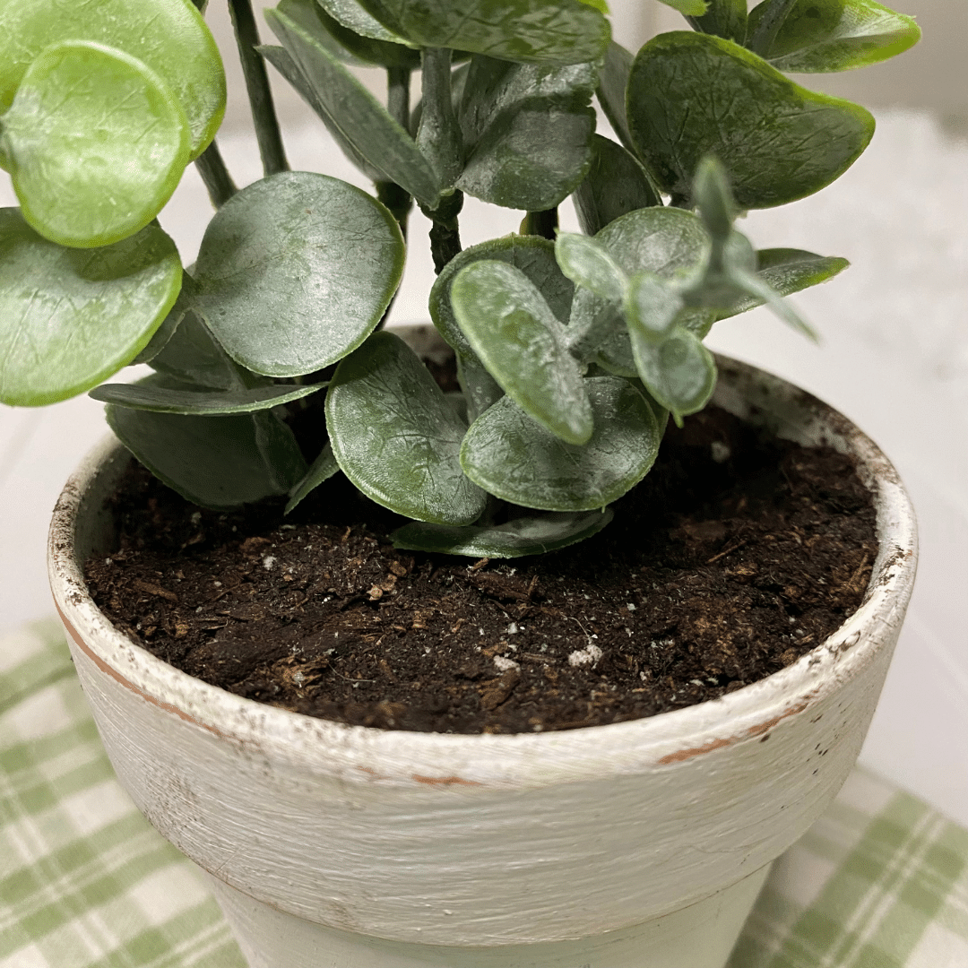make-fake-plants-look-real-fake-dirt-from-coffee-dreamalittlebigger-16 ⋆  Dream a Little Bigger